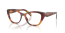 22A1O1 (poppy tortoise)