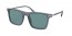01G04D (grey) polarized lens
