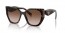 2AU6S1 (tortoise) brown grad lens