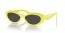 13L08Z (cedar/black) dark grey lens