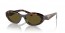 14L09Z (sage/honey tortoise) dark brown lens