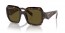 14L09Z (sage/honey tortoise) dark brown lens