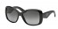 1AB5W1 (black) polarized lens