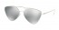 1BC097 (silver) polarized lens
