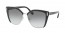1AB0A7 (black/silver) 