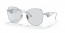 1BC07D (silver) grey photochromic lens