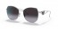 1BC5D1 (silver) grey grad. lens