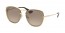 31D3D0 (brown) 