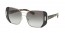 1AB0A7  (SILVER/BLACK)