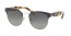 VH85W1 (blue/pale gold) polarized lens