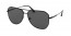 1AB08G (black) polarized lens