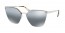 1BC2F2 (silver) polarized lens