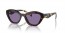 17N50B (havana) violet mirror internal silver lens