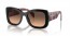 12O50C (mahogany) brown gradient grey lens