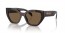 16N5Y1 (briar tortoise) dark brown lens