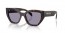 17N03N (root tortoise) grey lens