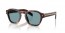 15W04D (classic tortoise) green polar lens