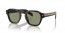 17N20G (radica tortoise) polarized green lens