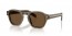18T70F (transparent terra) dark brown lens