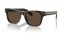 17N70F (radica tortoise) dark brown lens