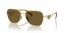 5AK01T (gold) dark brown lens