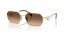 ZVN50C (pale gold) brown gradient grey lens