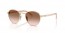 ZVN0A6 (pale gold) brown gradient lens