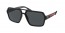 1AB02G (black) polarized dark grey lens