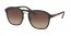 U616S1 (havana rubber) brown grad lens