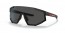 DG006F (black rubber) dark grey lens