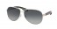 1BC5W1 (steel) polarized grey gradient  lens