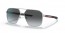 1BC06G (Silver) grey polarized lens