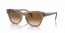 664051 (transparent light brown) brown gradient lens