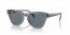 66413R (transparent grey) dark blue polarized lens