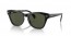 901/31 (black on gold) green lens