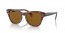 954/33 (striped havana) brown lens