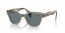 66353R (transparent green) dark blue polarized lens
