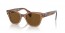664057 (transparent brown) brown polarized lens
