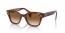 954/51 (striped havana) brown gradient lens