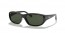 601/31 (shiny black) grey/green G15 lens