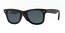 1152N5 (black leather used) polarized lens