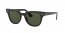 901/31 (black) green lens
