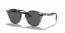 643087 (striped grey havana) dark grey lens