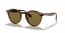 820/73 (striped red havana) dark brown lens