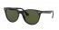 901/58 (black) polarized green lens