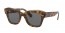 1292B1 (havana on transparent brown) dark grey lens