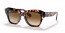 133451 (pink havana) light brown gradient lens