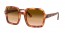 130051 (red havana) clear gradient brown lens