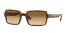 954/51 (striped havana) clear gradient brown lens