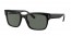 901/58 (black) green polarized lens